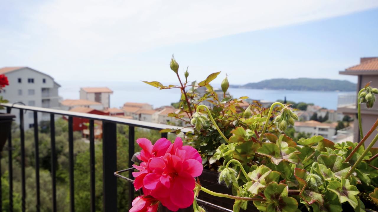 Апартаменты Lux Apartment Queen Будва-33